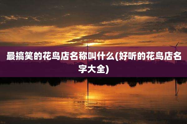 最搞笑的花鸟店名称叫什么(好听的花鸟店名字大全)