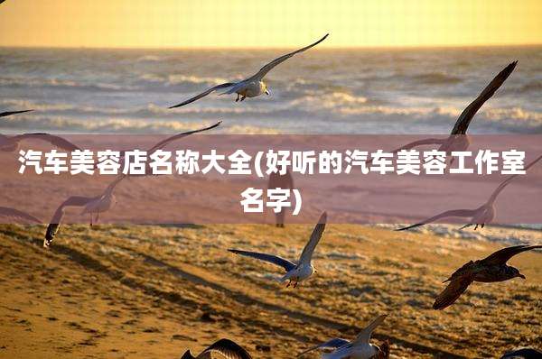 汽车美容店名称大全(好听的汽车美容工作室名字)