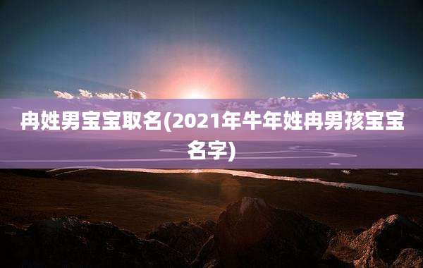 冉姓男宝宝取名(2021年牛年姓冉男孩宝宝名字)