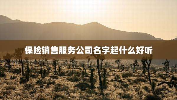 保险销售服务公司名字起什么好听
