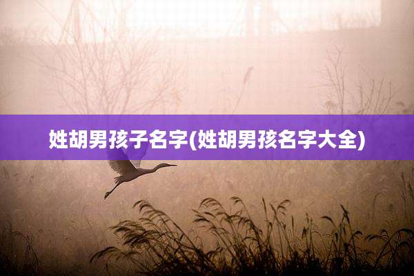 姓胡男孩子名字(姓胡男孩名字大全)