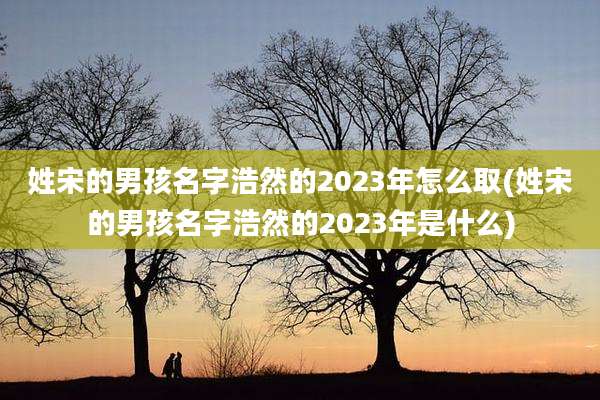 姓宋的男孩名字浩然的2023年怎么取(姓宋的男孩名字浩然的2023年是什么)