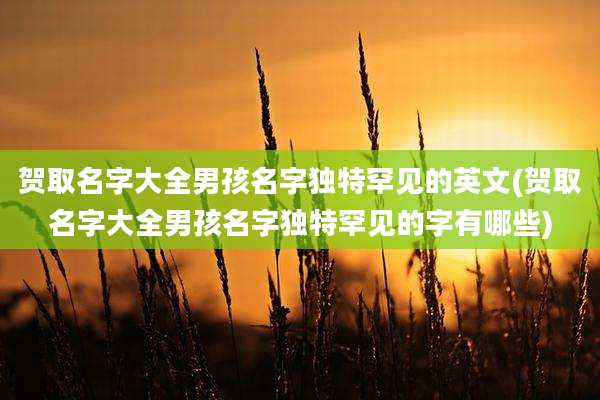 贺取名字大全男孩名字独特罕见的英文(贺取名字大全男孩名字独特罕见的字有哪些)