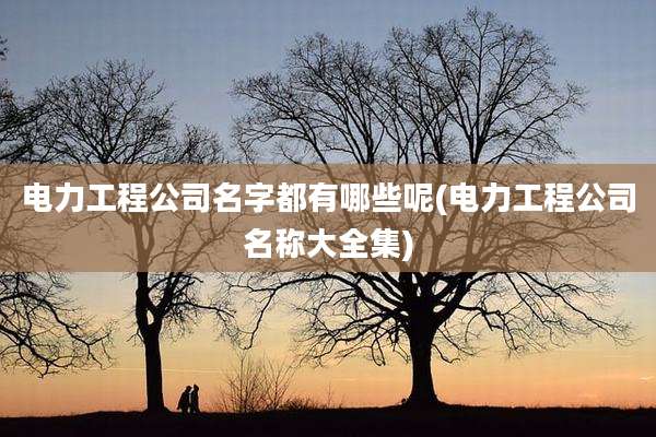 电力工程公司名字都有哪些呢(电力工程公司名称大全集)