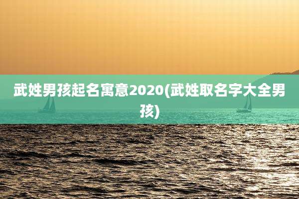 武姓男孩起名寓意2020(武姓取名字大全男孩)