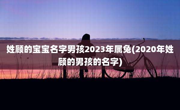 姓顾的宝宝名字男孩2023年属兔(2020年姓顾的男孩的名字)