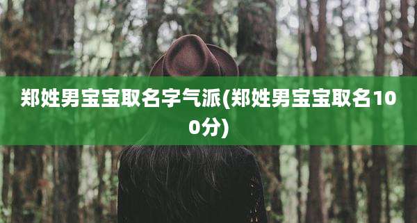 郑姓男宝宝取名字气派(郑姓男宝宝取名100分)