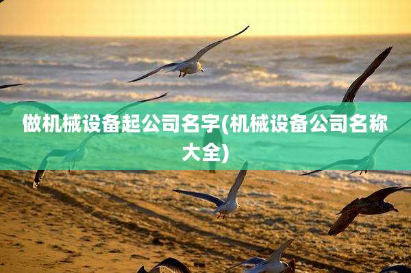 做机械设备起公司名字(机械设备公司名称大全)