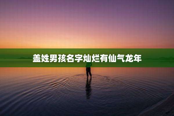 盖姓男孩名字灿烂有仙气龙年