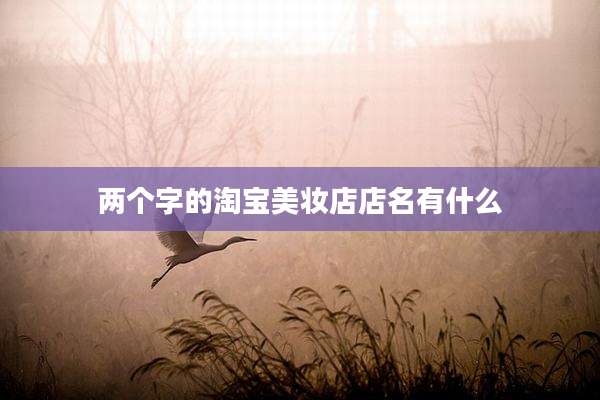 两个字的淘宝美妆店店名有什么