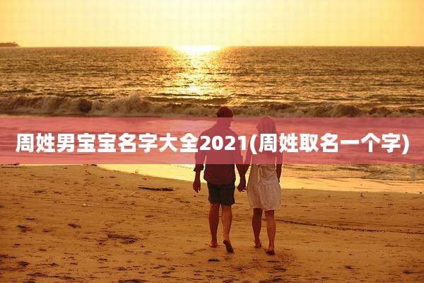 周姓男宝宝名字大全2021(周姓取名一个字)