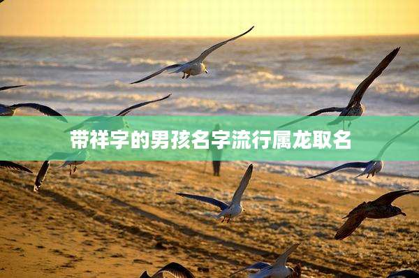 带祥字的男孩名字流行属龙取名