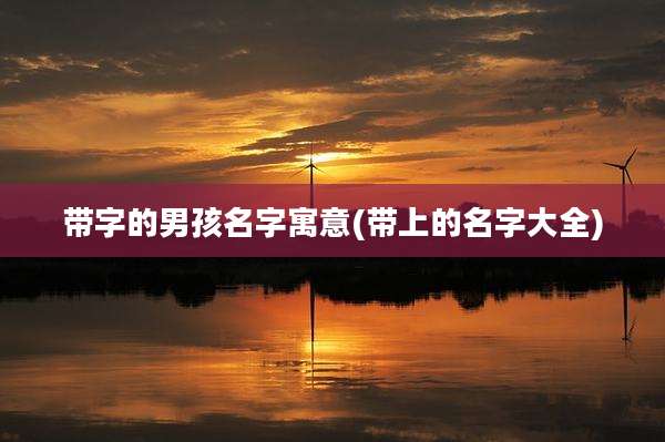 带字的男孩名字寓意(带上的名字大全)