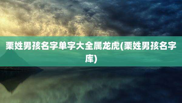 栗姓男孩名字单字大全属龙虎(栗姓男孩名字库)