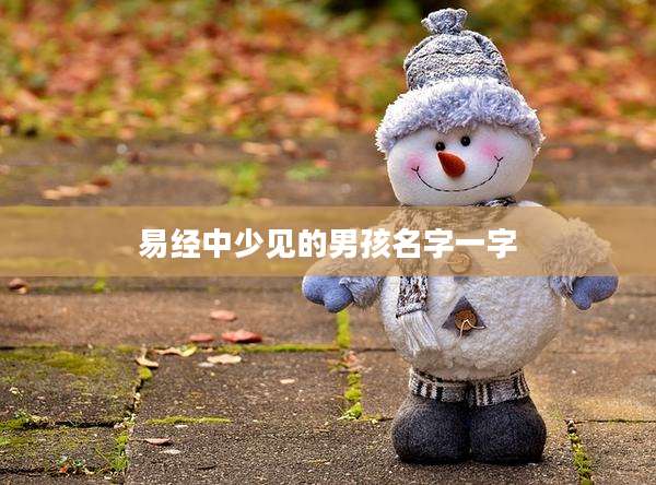 易经中少见的男孩名字一字