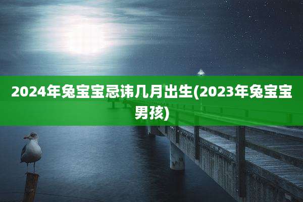 2024年兔宝宝忌讳几月出生(2023年兔宝宝男孩)