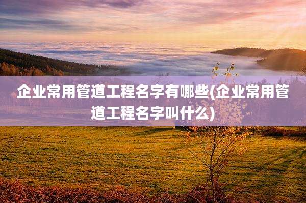 企业常用管道工程名字有哪些(企业常用管道工程名字叫什么)