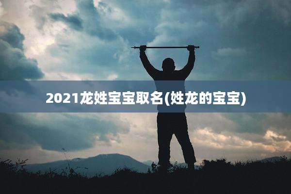 2021龙姓宝宝取名(姓龙的宝宝)