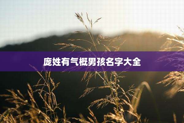 庞姓有气概男孩名字大全
