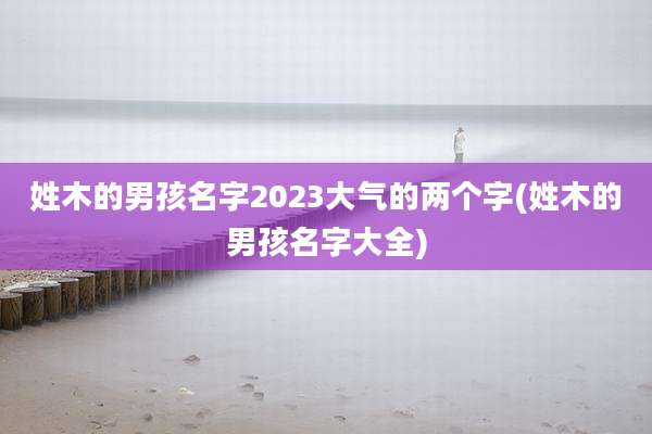 姓木的男孩名字2023大气的两个字(姓木的男孩名字大全)