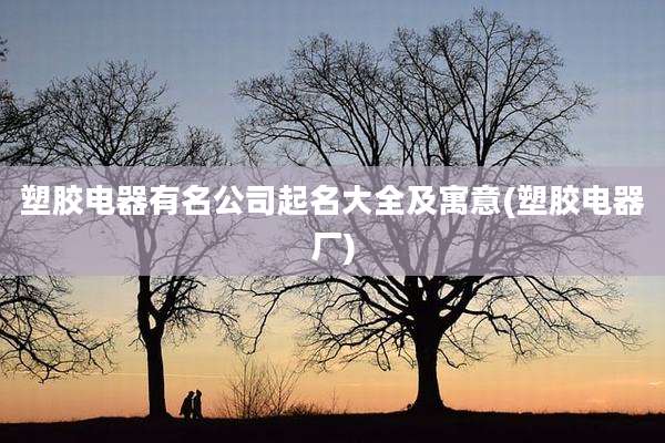 塑胶电器有名公司起名大全及寓意(塑胶电器厂)
