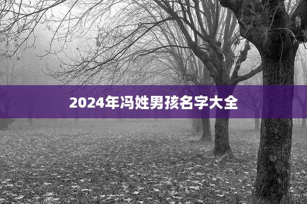 2024年冯姓男孩名字大全