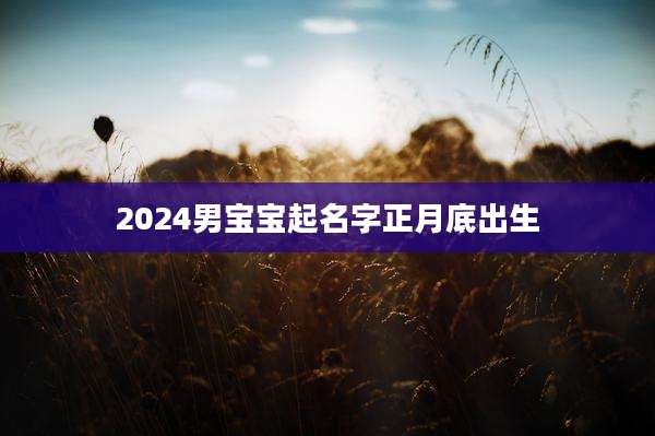 2024男宝宝起名字正月底出生