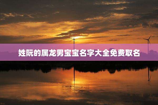 姓阮的属龙男宝宝名字大全免费取名