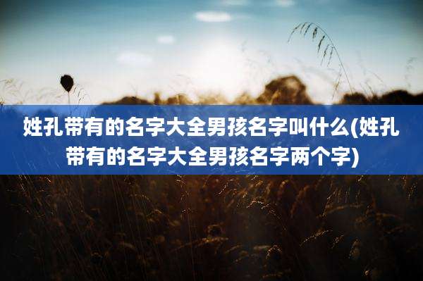 姓孔带有的名字大全男孩名字叫什么(姓孔带有的名字大全男孩名字两个字)