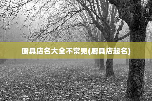 厨具店名大全不常见(厨具店起名)