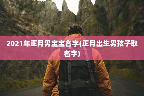 2021年正月男宝宝名字(正月出生男孩子取名字)