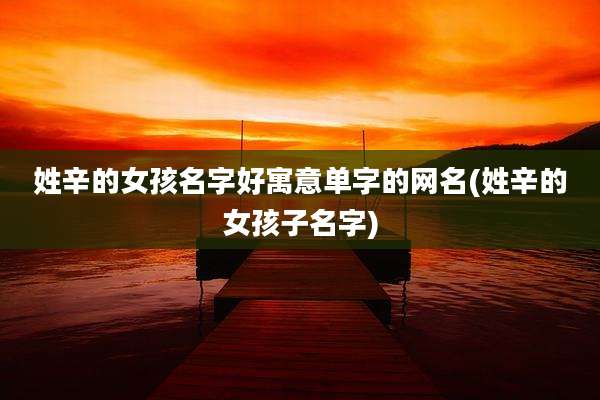 姓辛的女孩名字好寓意单字的网名(姓辛的女孩子名字)