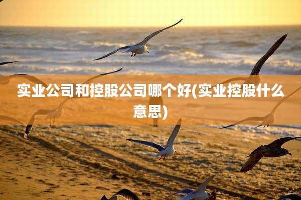 实业公司和控股公司哪个好(实业控股什么意思)
