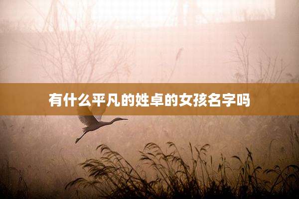 有什么平凡的姓卓的女孩名字吗