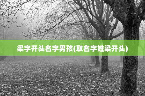 梁字开头名字男孩(取名字姓梁开头)