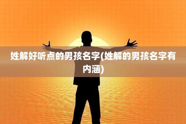 姓解好听点的男孩名字(姓解的男孩名字有内涵)