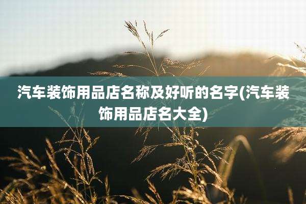 汽车装饰用品店名称及好听的名字(汽车装饰用品店名大全)