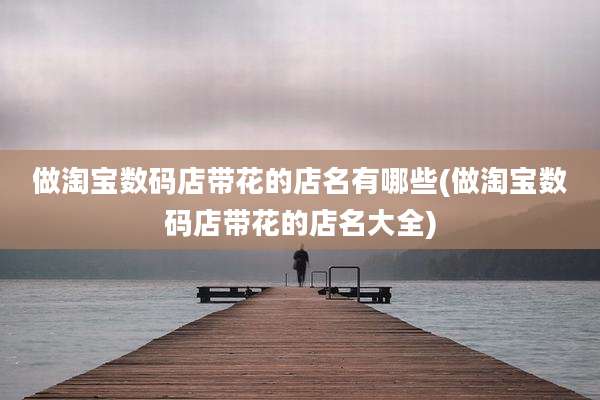 做淘宝数码店带花的店名有哪些(做淘宝数码店带花的店名大全)