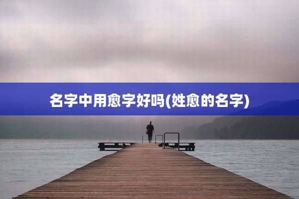 名字中用愈字好吗(姓愈的名字)