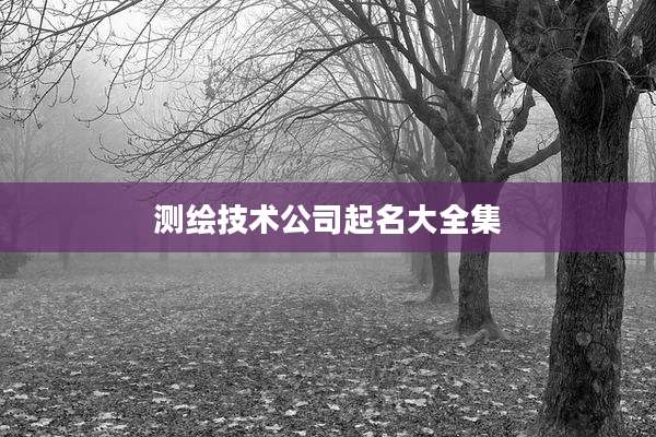 测绘技术公司起名大全集