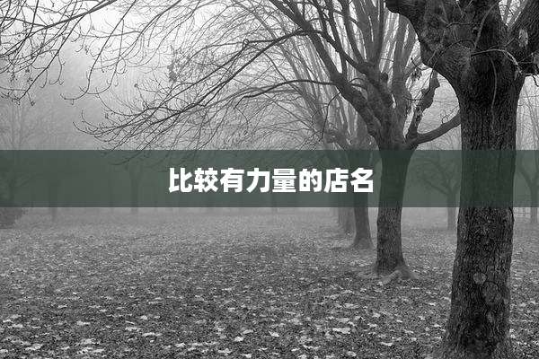 比较有力量的店名