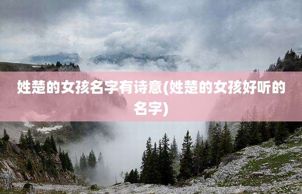 姓楚的女孩名字有诗意(姓楚的女孩好听的名字)