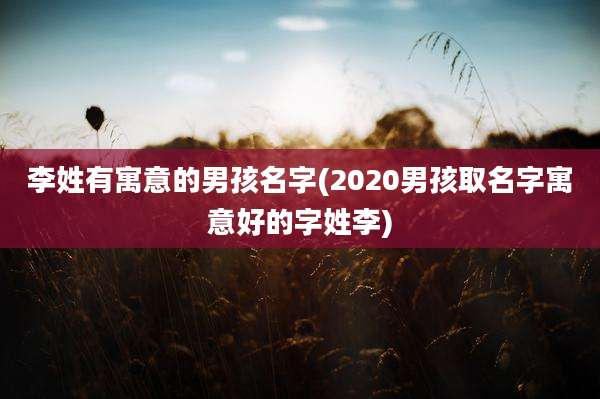 李姓有寓意的男孩名字(2020男孩取名字寓意好的字姓李)