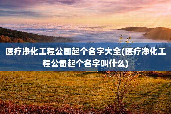 医疗净化工程公司起个名字大全(医疗净化工程公司起个名字叫什么)