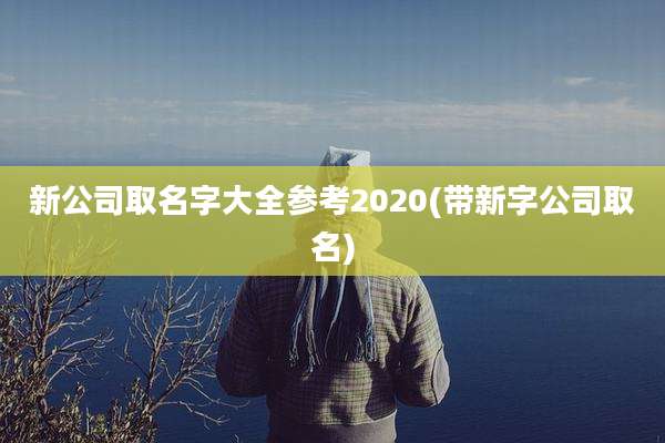 新公司取名字大全参考2020(带新字公司取名)