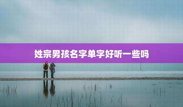 姓宗男孩名字单字好听一些吗