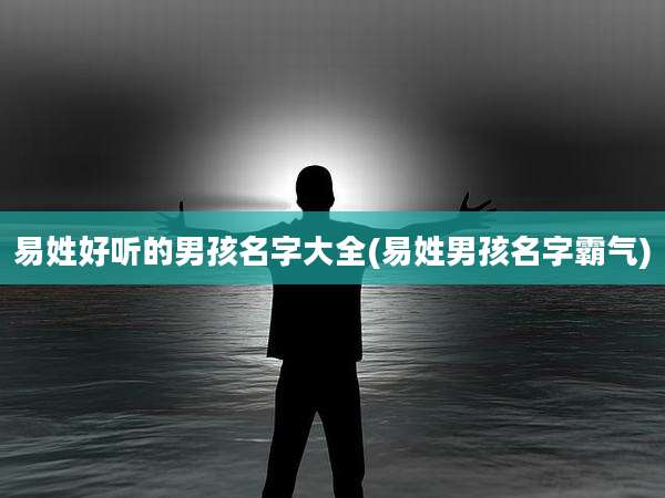 易姓好听的男孩名字大全(易姓男孩名字霸气)