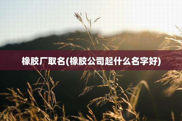 橡胶厂取名(橡胶公司起什么名字好)