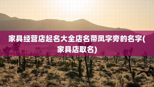 家具经营店起名大全店名带凤字旁的名字(家具店取名)