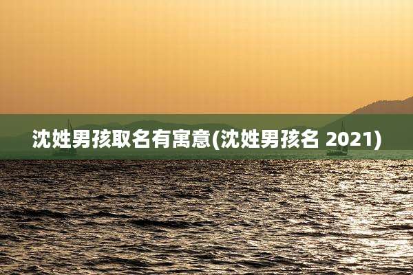 沈姓男孩取名有寓意(沈姓男孩名 2021)